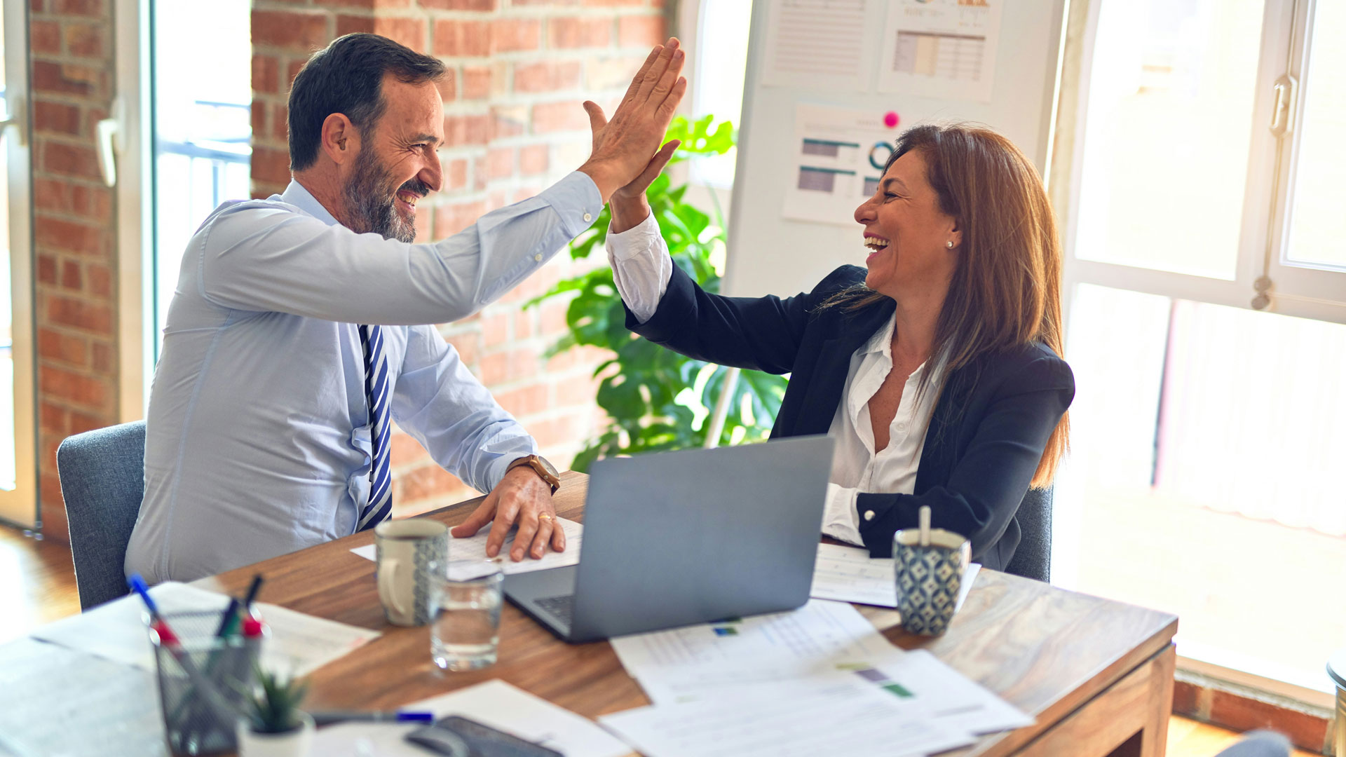 CompletePolicyCare Image 2